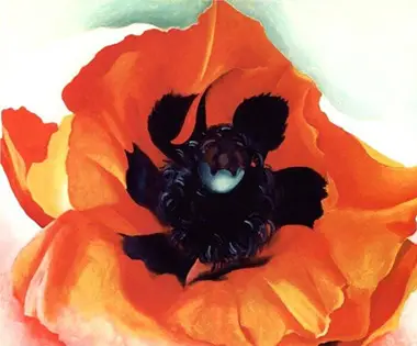 Poppy Georgia O'Keeffe